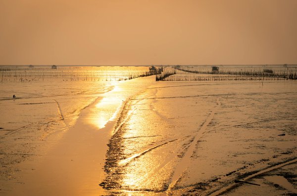 Parcourez la corse en camping-car : une expérience inoubliable vous attend