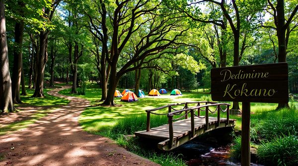 Plongez dans l'aventure au camping tarn : le domaine du koukano